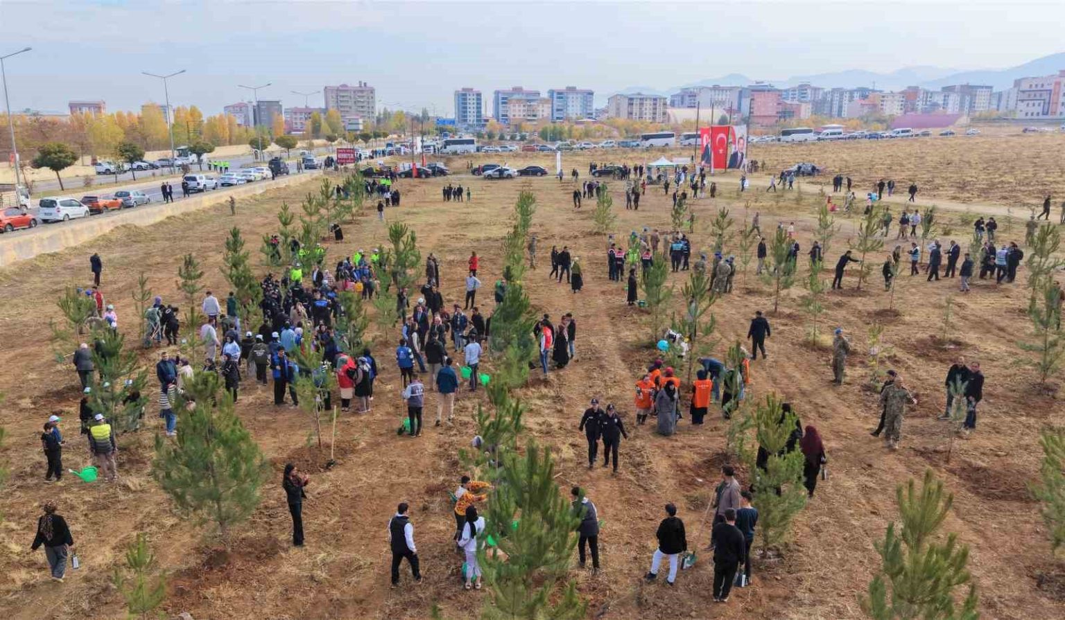 musta-20-bin-fidan-toprakla-bulusturuldu