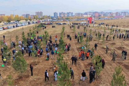 musta-20-bin-fidan-toprakla-bulusturuldu