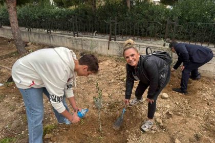 okul-bahcesine-60-zeytin-fidani-dikildi