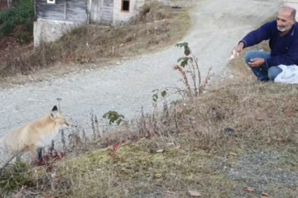 pimbilona-yaylasinda-sira-disi-dostluk