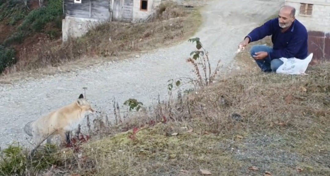 pimbilona-yaylasinda-sira-disi-dostluk