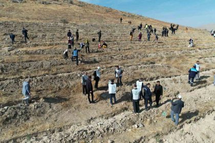 sahidimiz-toprak-imzamiz-fidan-sevdamiz-yesil-vatan-yahyalida-hayat-buldu