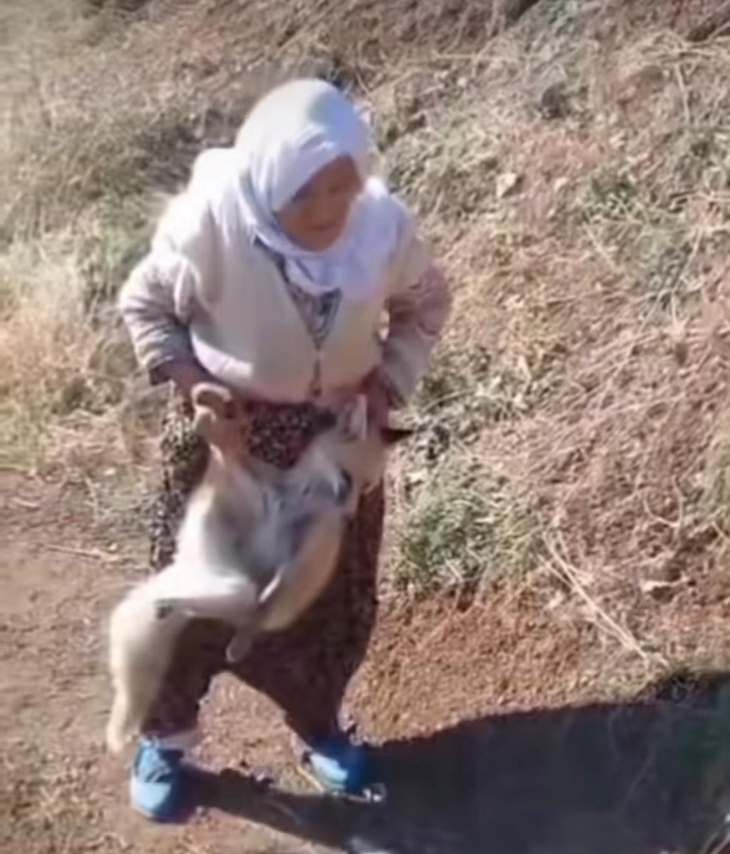 sasonun-cesur-ninesi-tayyibe-nine-hayatini-kaybetti