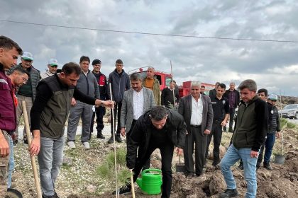 selendide-800-fidan-toprakla-bulusturuldu