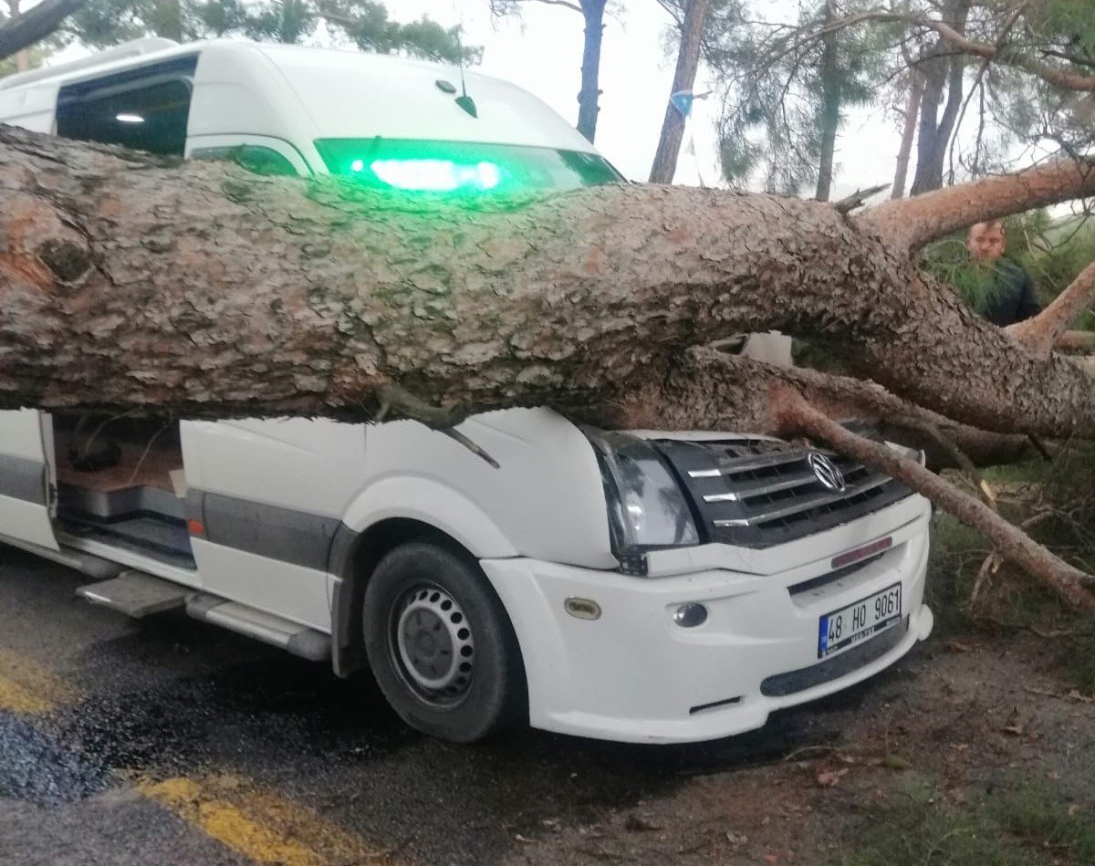 seyir-halindeki-minibusun-ustune-agac-devrildi