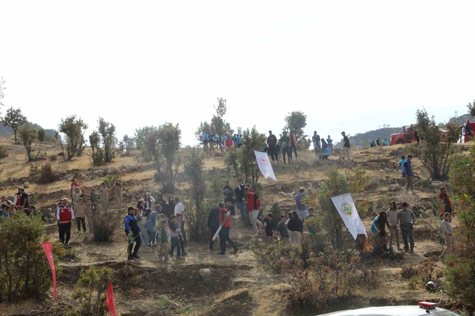 sirnakta-adliye-hatira-ormani-kuruldu