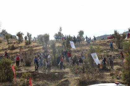 sirnakta-adliye-hatira-ormani-kuruldu