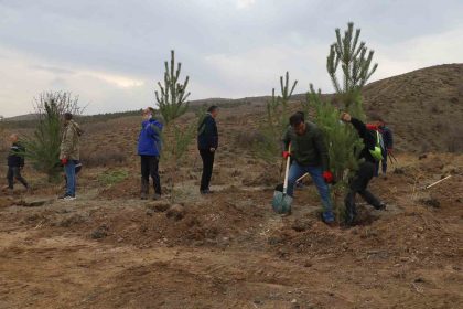 sivasta-58-bin-fidan-toprakla-bulusturuldu