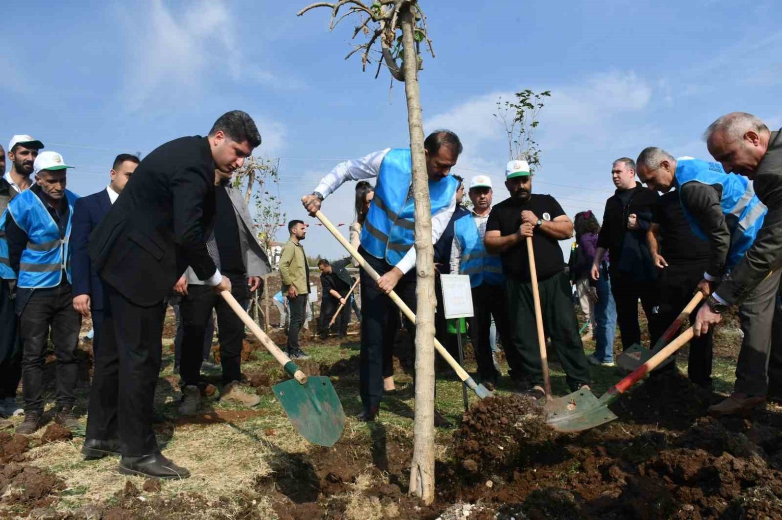 siverekte-fidanlar-gelecege-nefes-olacak