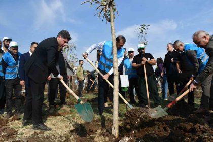 siverekte-fidanlar-gelecege-nefes-olacak