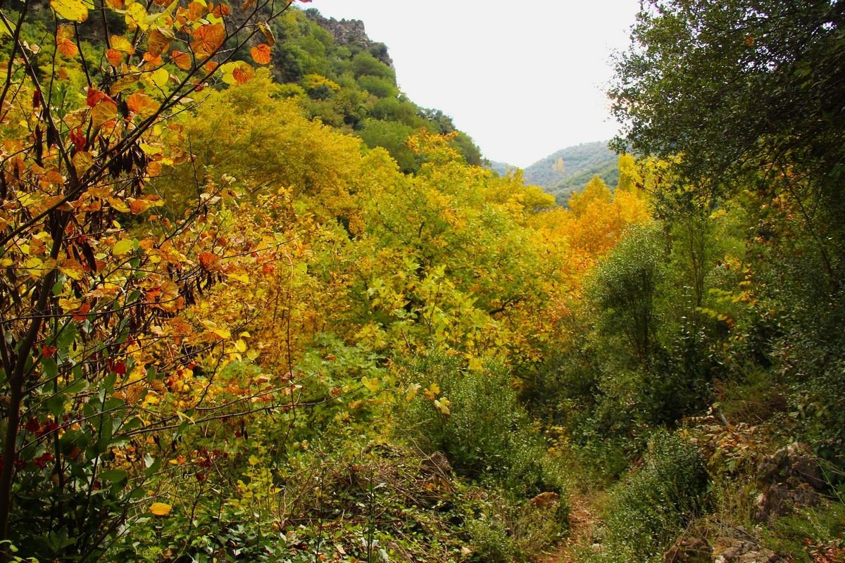 sonbaharin-guzelligine-burunen-kocak-kanyonuna-dikkat-cektiler