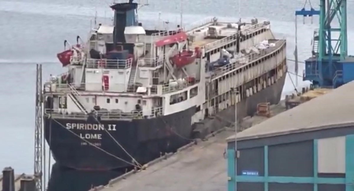 susuzluktan-boru-yalayan-inekler