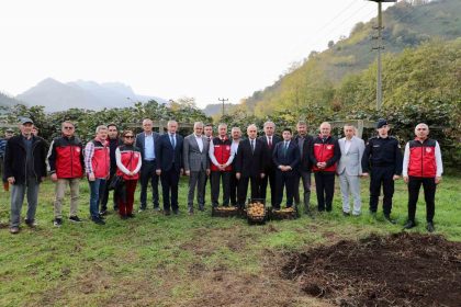 tescilli-ordu-kivisinde-hasat-basladi-ilin-ekonomisine-520-milyon-tl-katki