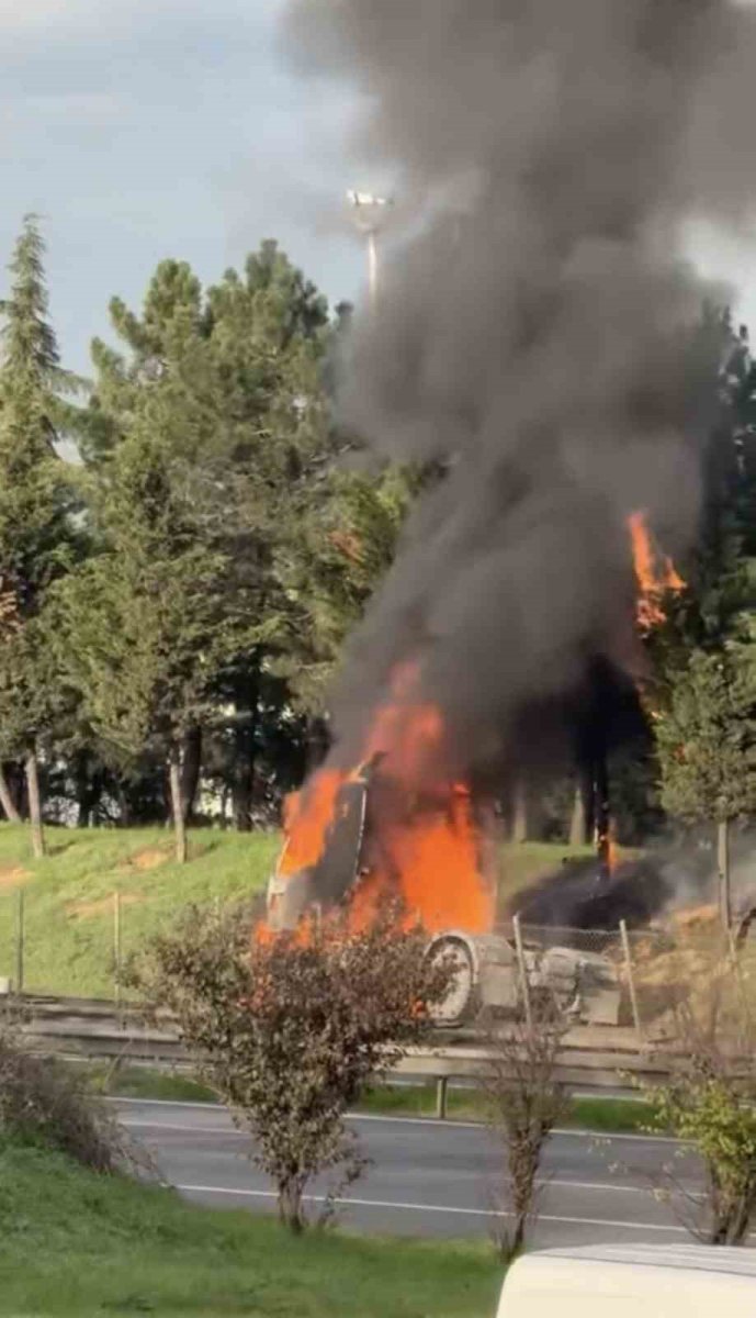 tuzlada-seyir-halindeki-tir-alev-alev-yandi