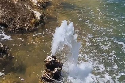 van-golunde-sasirtan-goruntu-mikrobiyalitten-tatli-su-fiskirdi