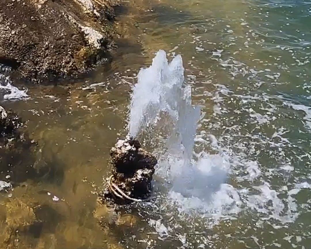 van-golunde-sasirtan-goruntu-mikrobiyalitten-tatli-su-fiskirdi