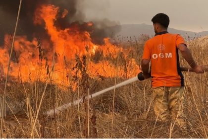 yuksekova-kus-cenneti-alevlere-teslim-yangin-kontrol-altina-alinamiyor