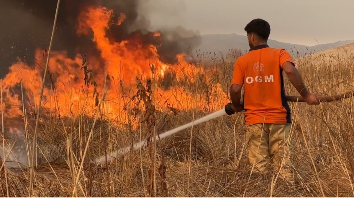 yuksekova-kus-cenneti-alevlere-teslim-yangin-kontrol-altina-alinamiyor