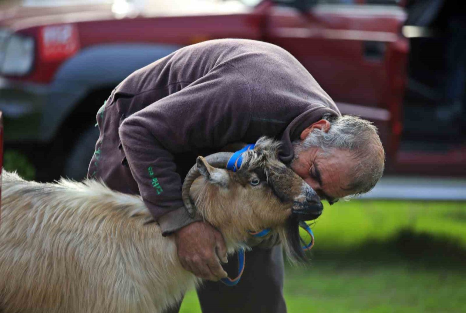 3-kecisini-kurtlar-yiyen-yasli-adam-mahsur-kaldigi-ucurumdan-kurtarilan-son-kecisine-sarilip-doyasiya-optu