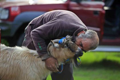 3-kecisini-kurtlar-yiyen-yasli-adam-mahsur-kaldigi-ucurumdan-kurtarilan-son-kecisine-sarilip-doyasiya-optu