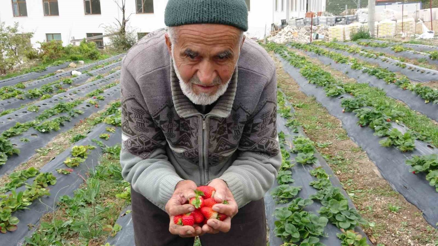85-yasindaki-ibrahim-dede-hayir-bahcesinde-yetistirdigi-meyve-ve-sebzeleri-ucretsiz-ikram-ediyor
