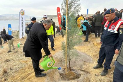 ali-daginin-zirvesine-1111-fidan