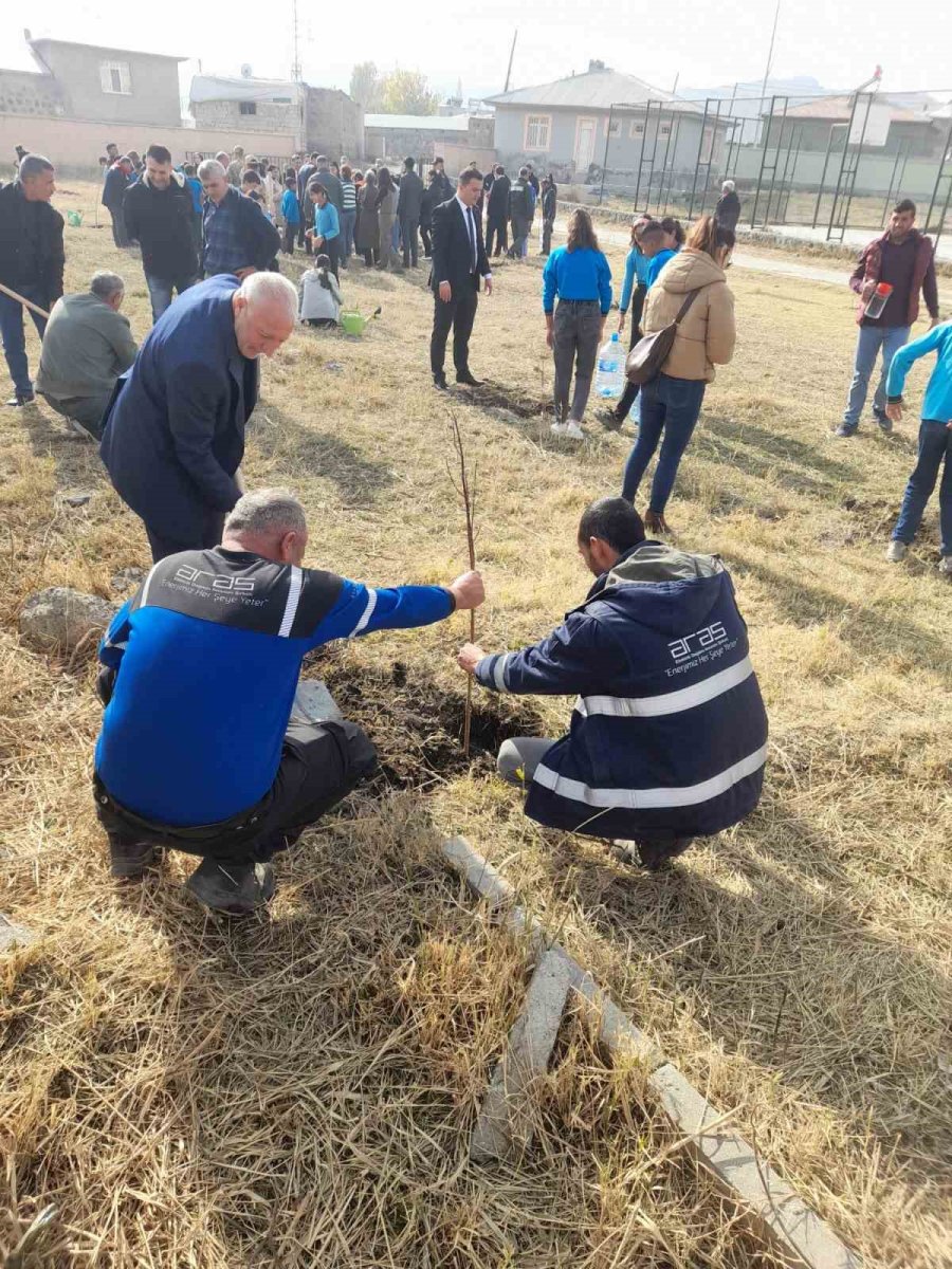 aras-edas-milli-agaclandirma-gununde-gelecege-nefes-oldu