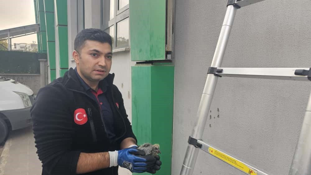 batmanda-kolonlara-sikisan-kus-kurtarildi