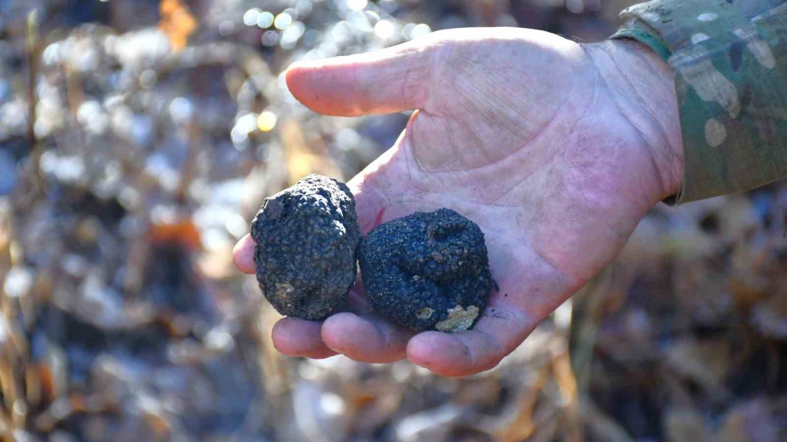 bayburt-kara-elmas-ile-tanisacak