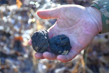 bayburt-kara-elmas-ile-tanisacak