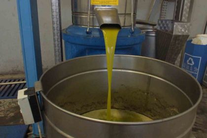 burhaniyede-zeytinde-rekolte-dusuk-ancak-yagda-kalite-yuksek