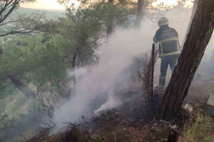 dortyolda-ormanlik-yangini