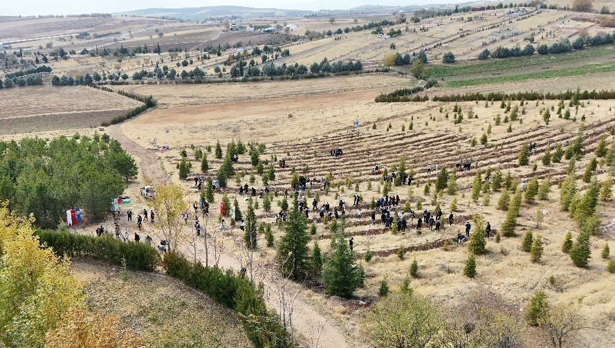 elazigda-dogu-turkistan-ve-filistin-icin-fidan-diktiler