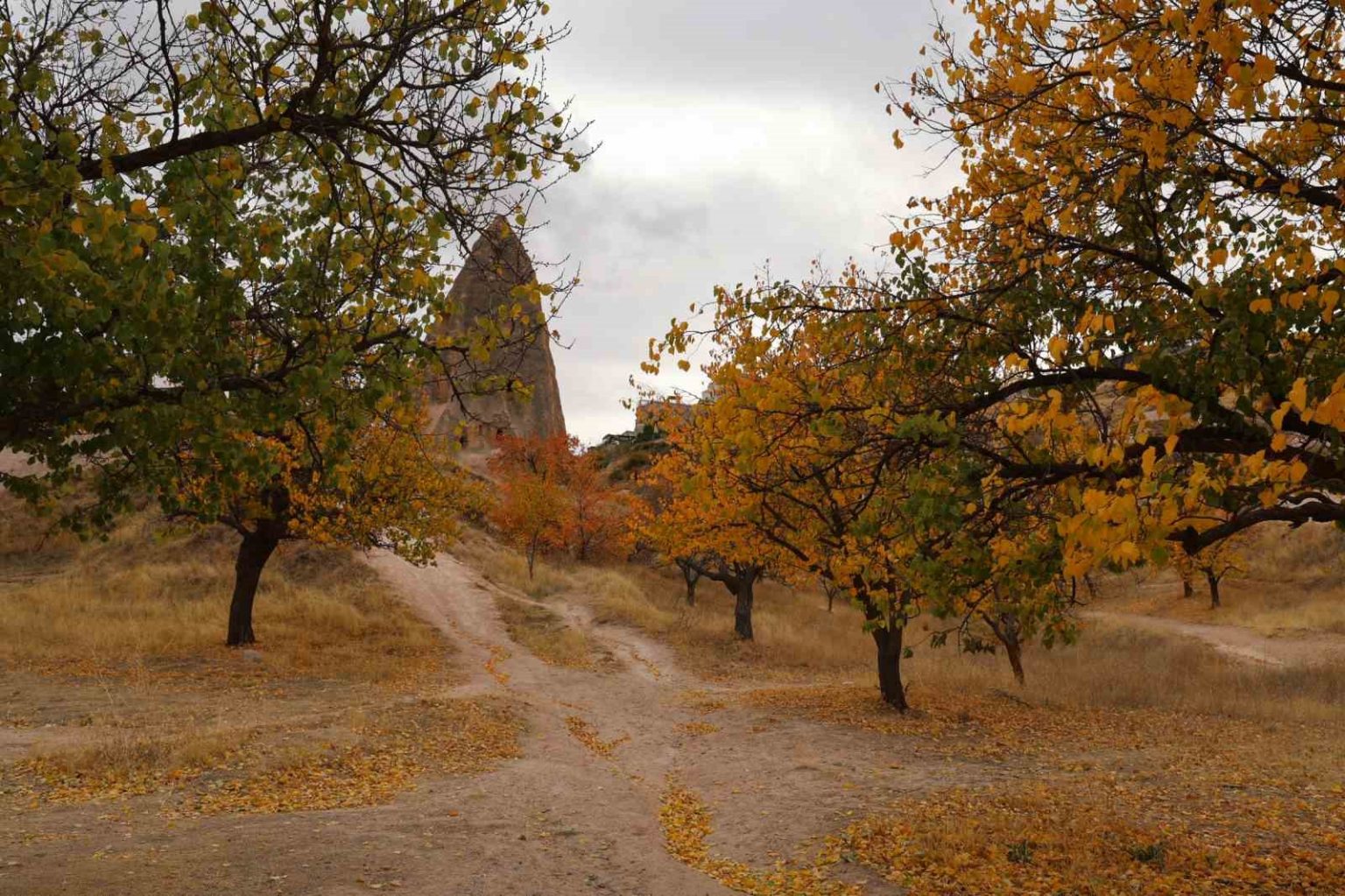 kapadokyadaki-renk-cumbusu-dron-ile-goruntulendi