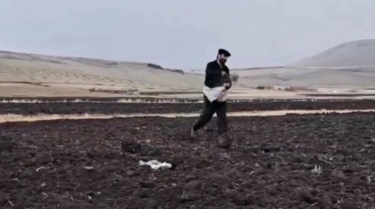 karsta-guzluk-ekim-yapiliyor