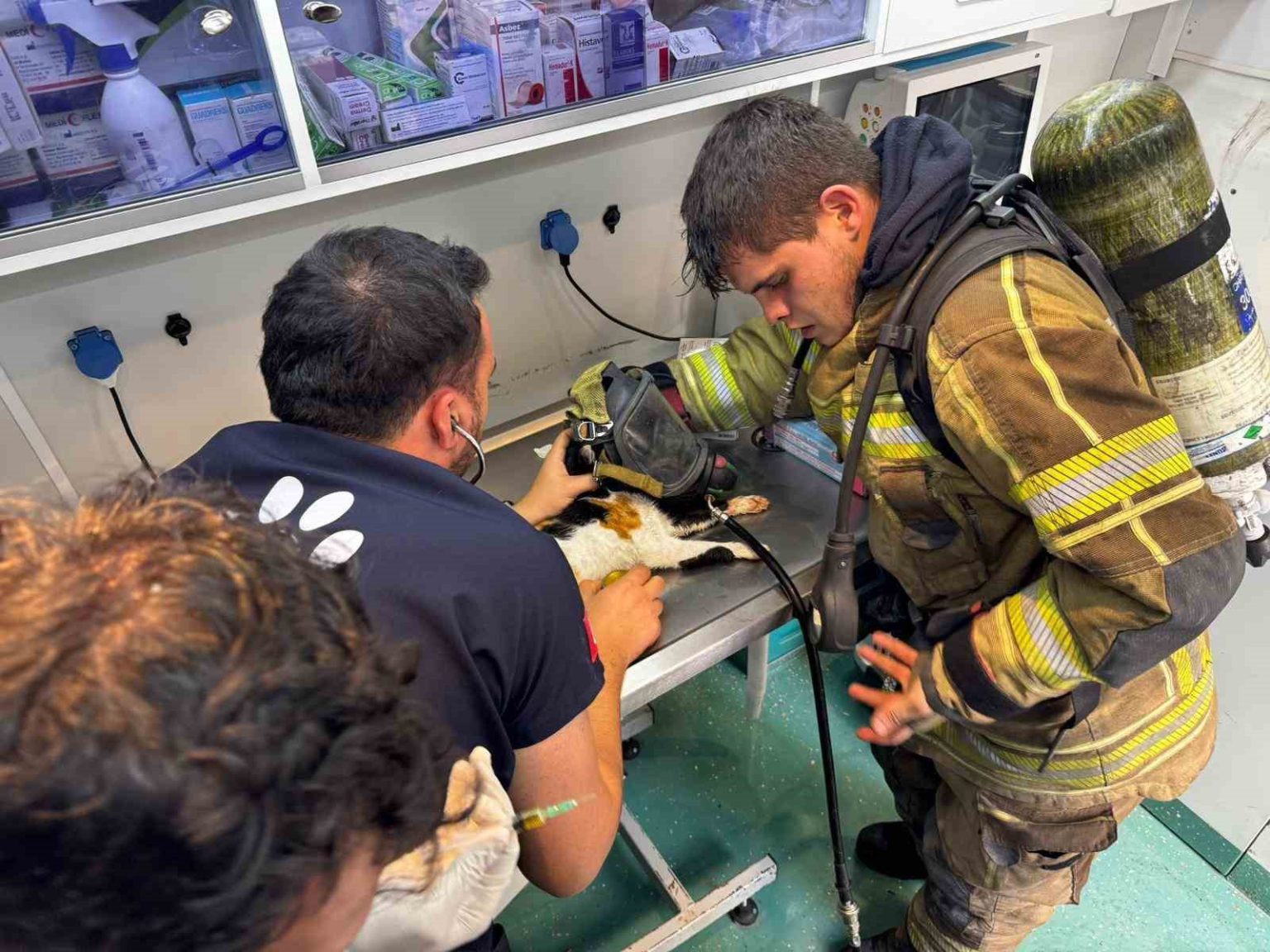 mazgala-dusen-kayip-kopek-ve-yanginda-mahsur-kalan-kediler-itfaiyenin-cabasiyla-kurtarildi