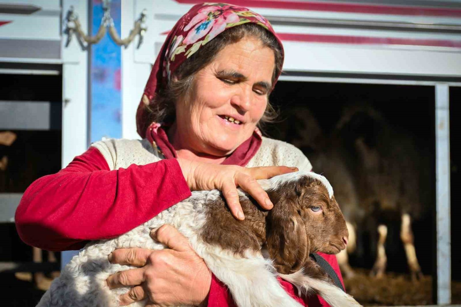 mersinde-yem-ve-kucukbas-destegi-ureticiyi-guclendiriyor