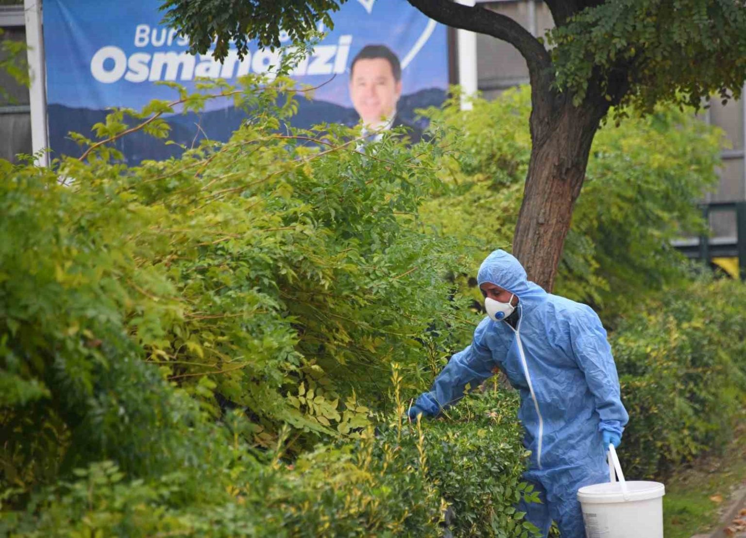 osmangazide-kemirgenlere-karsi-ilaclama-calismasi-baslatildi