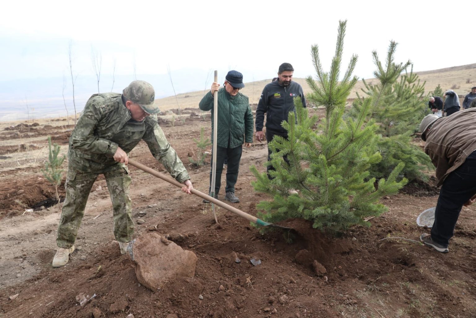 sehit-arkadaslarinin-hatirasina-2-bin-400-rakimli-tepeye-agac-diktiler