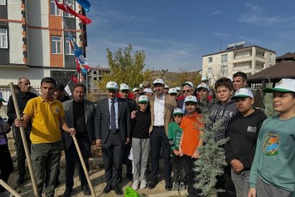 sincikte-fidanlar-toprakla-bulustu