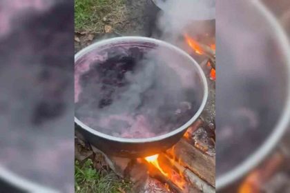 sinop-koylerinde-kazanlar-kayniyor-kislik-pekmez-mesaisi