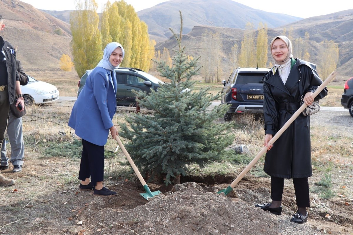 tercanda-fidanlar-toprakla-bulustu