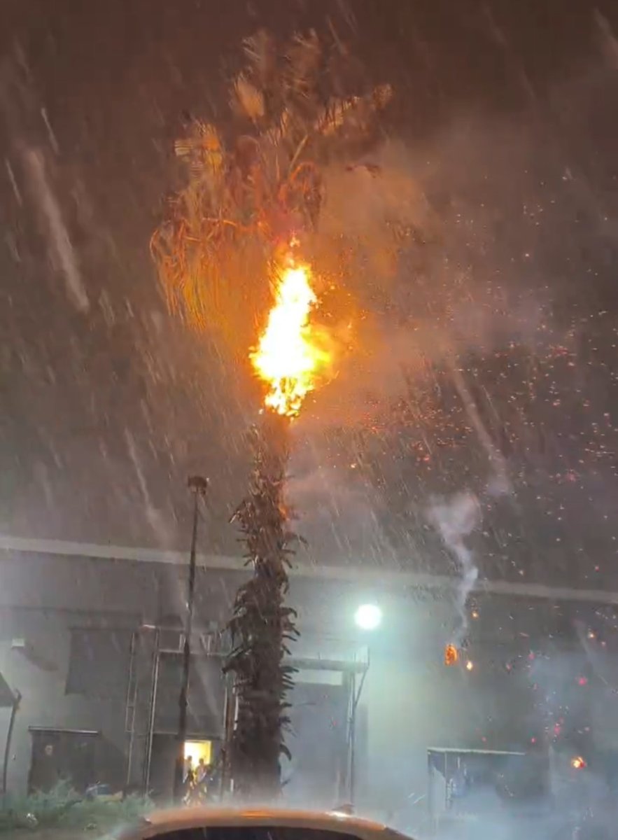 adanada-dusen-yildirimlar-yangina-neden-oldu