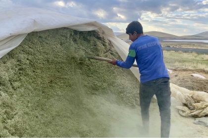 agrida-besiciler-kis-hazirliklarina-basladi