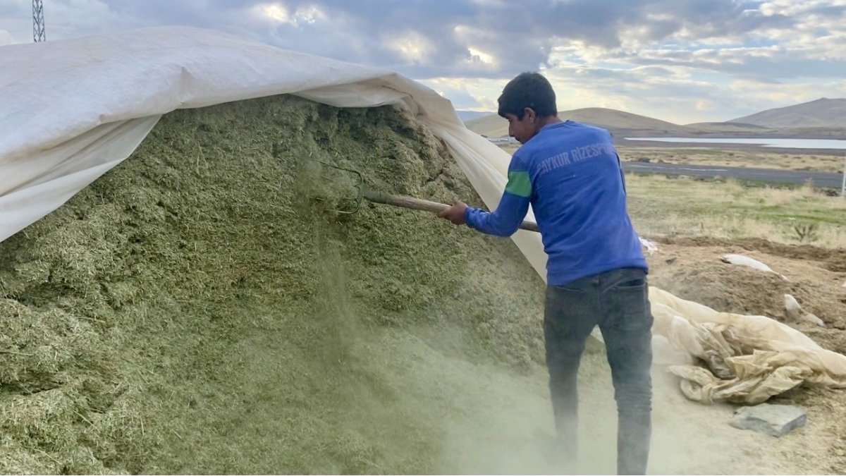 agrida-besiciler-kis-hazirliklarina-basladi