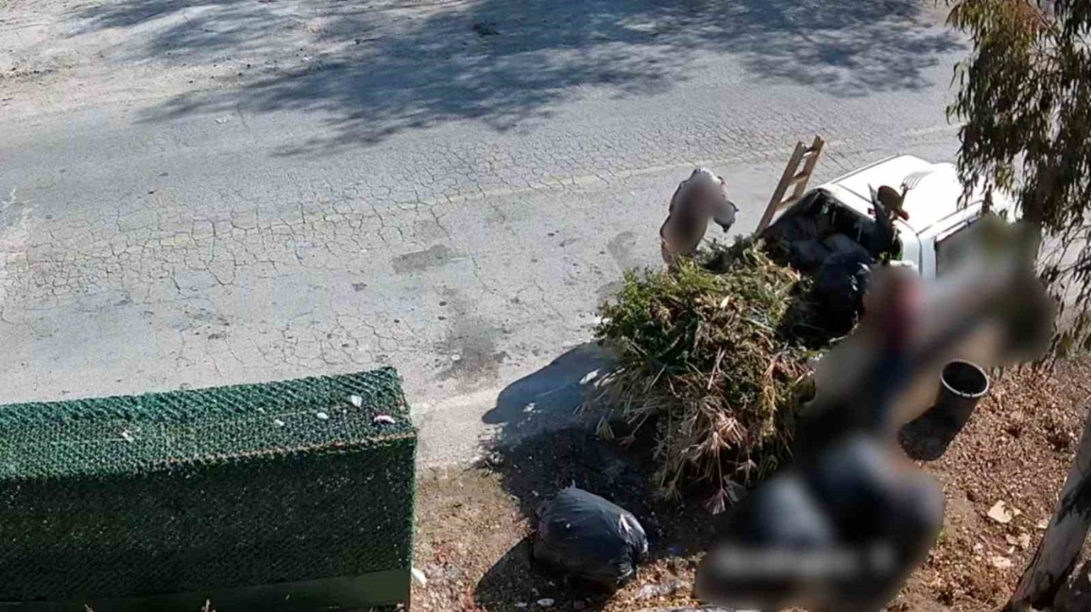 bodrumda-cevreyi-kirletenler-belediye-kamerasina-yakalandi