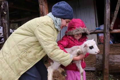 boluda-yaylalardan-koylere-goc-basladi