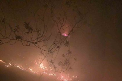 hatayda-yildirimin-dustugu-ormanlik-alanda-yangin-cikti