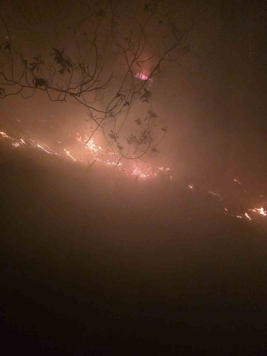 hatayda-yildirimin-dustugu-ormanlik-alanda-yangin-cikti