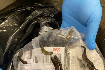 istanbul-havalimaninda-5-bin-adet-tibbi-suluk-ele-gecirildi